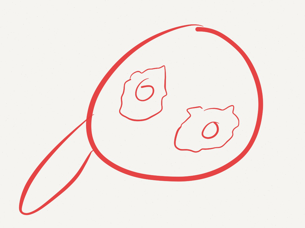 PoachedEggs by adrian