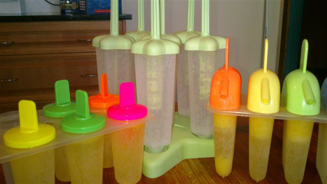 HomemadeLemonadeIcy-Poles by lucy